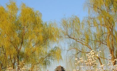 惡血读后感锦集
