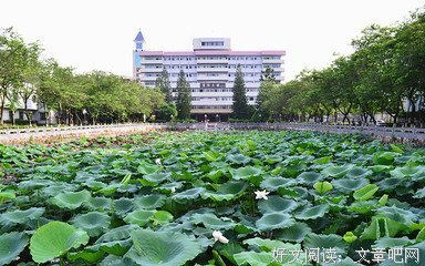 嘉大表白墙 第十季 04期 