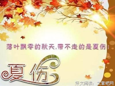 关于随波逐流的唯美语录