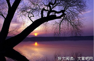 物是人非的语句摘抄_关于物是人非的语句