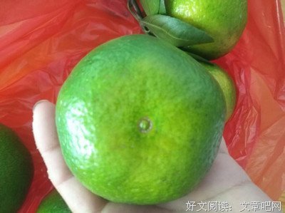 颠沛流离的名人名言