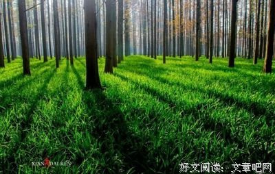 《败北》的句子