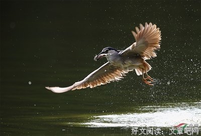 秦岭山麓一书生，长江边上打渔人