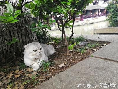 关于超级大坦克科比名言大全