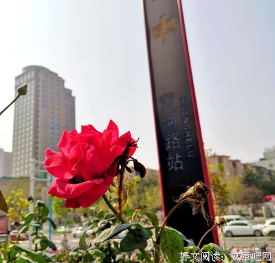 《晚来.》的句子