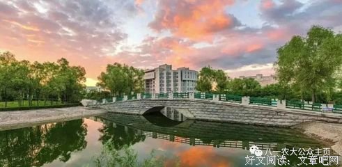 《三行情书》的句子