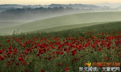 爱情句子大全