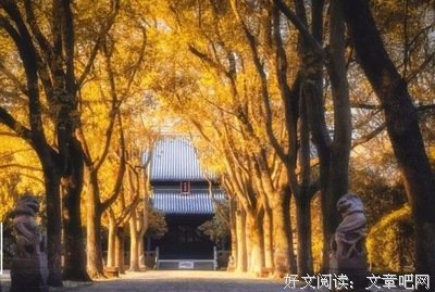 得到，未必是福；失去，未必是祸