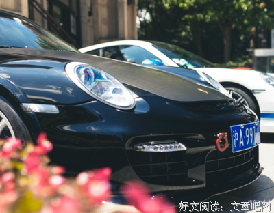 《寡妇》经典观后感集