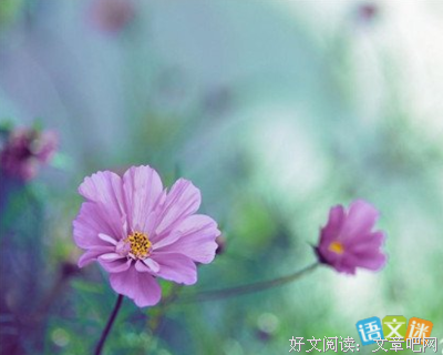 关于在终点等你的优美句子