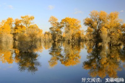 喜欢优美的句子
