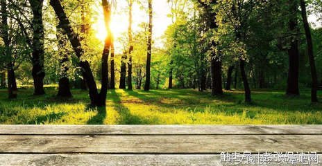 波澜不惊的名句_关于波澜不惊的名句