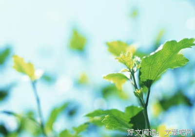 关于无怨无悔的名言