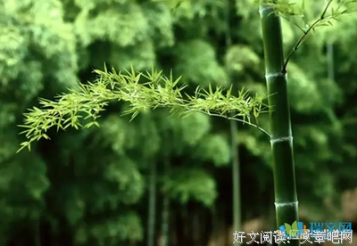 关于春夏秋冬的名言