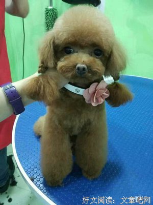原配哀求，走之前和我老公留个种！