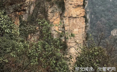 关于不可收拾的名言