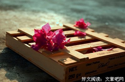《哲当多》的句子