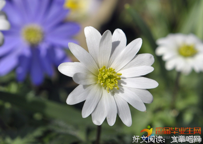 关于自我的句子