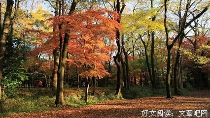关于心中若有良人,其然她是不来得了不是蔡孩人的句子