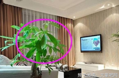 不想死太惨？这些星座男的话万万可别信