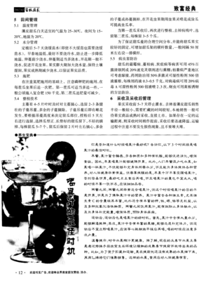 最佳时机