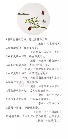 诗酒趁年华