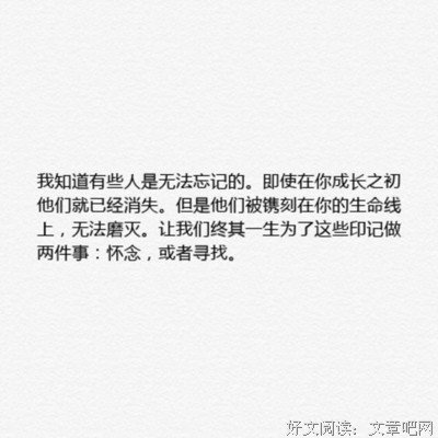 随笔的优美句子