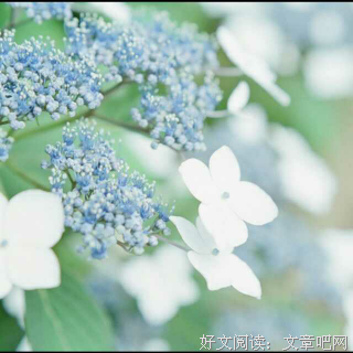 女人最幸福的姿态：是精神的独立，适当的示弱