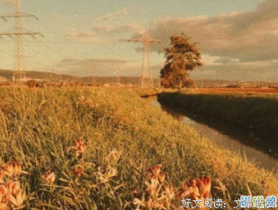 你的人她句子大全