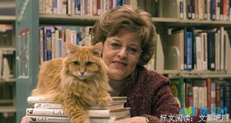 《我是猫》读后感锦集