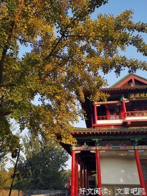 我原来多寂寞