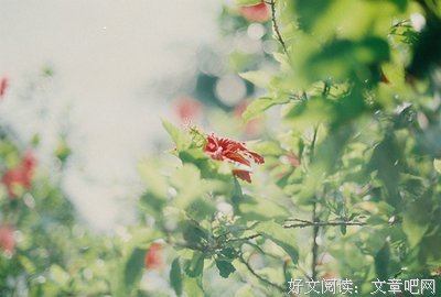 熙熙攘攘的句子