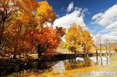 关于无声无息名言名句
