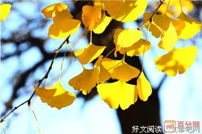 波澜壮阔的句子