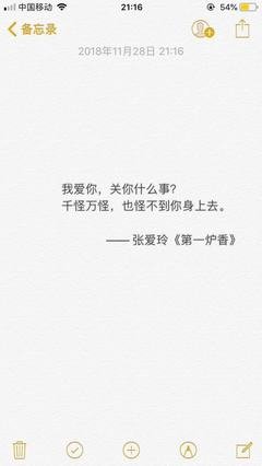 关于爱你的句子