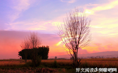 有关无名的句子