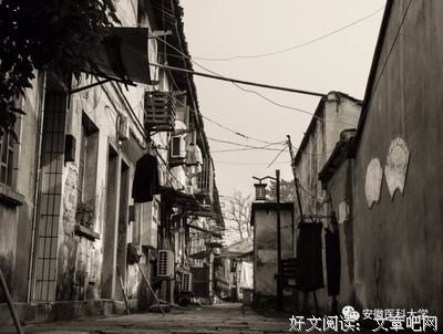 情不知所起的句子
