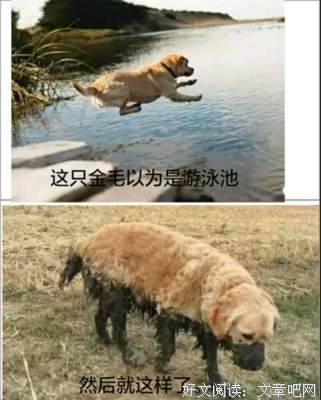 罗贝托·波拉尼奥名言
