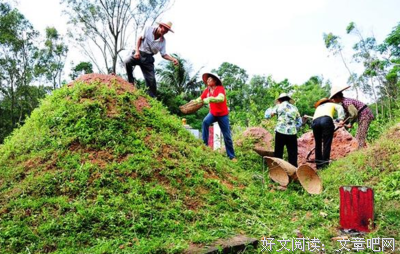 为什么一到清明节，总有人在上坟时丧命？