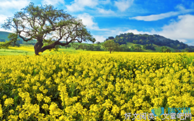 最新的《步步惊情》名句欣赏大全