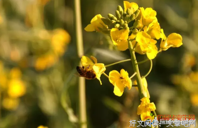 时光经典名句