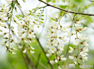 欣赏的优美句子
