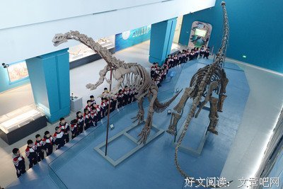 《秘境指南 第二季》经典观后感集