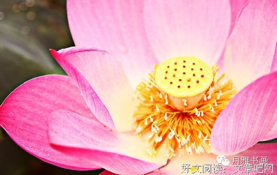 风经典名句