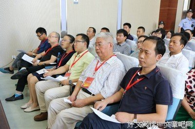 《证人》观后感摘抄