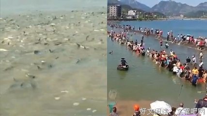 《黑心钱 第一季》影评100字