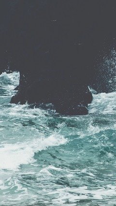 面朝大海句子大全