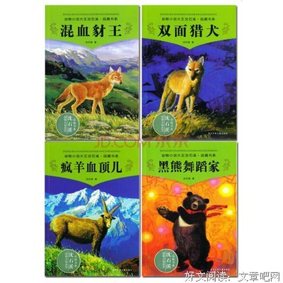 《双面人》读后感100字