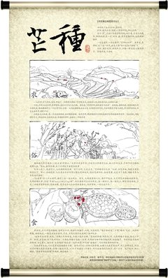 人的解读读后感100字