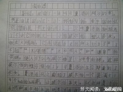 《为何爱会伤人》读后感100字